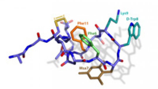 Structure of the somatostatina analogue synthesized in Riera's Lab