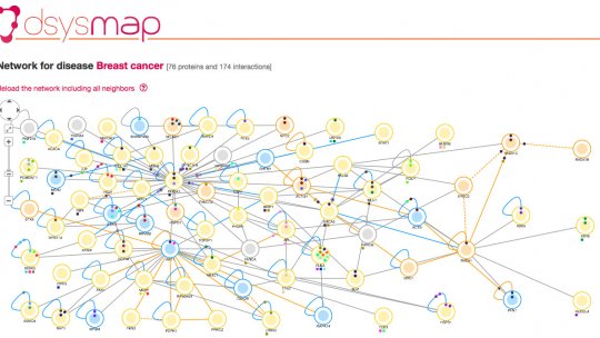 Mapa d'interaccions de proteïnes en càncer de mama (font: dSysMap, IRB Barcelona)