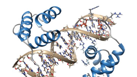 Estructura de TGIF1, unida al ADN.
