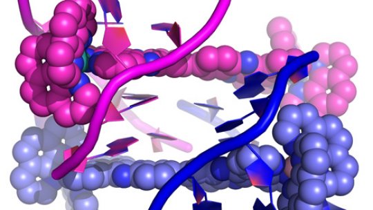 Structure of the new substance bound to DNA (R.Boer, IRB)