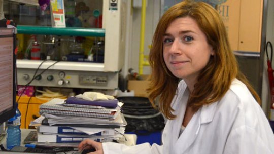The Italian postdoctoral researcher, Laura Nevola, is first co-author of the paper.