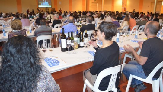 Participants taste wines from DO Costers del Segre (Aj. Mollerussa)