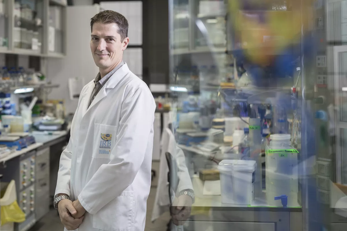 Dr. Roger Gomis in the Growth Control and Cancer Metastasis laboratory at IRB Barcelona