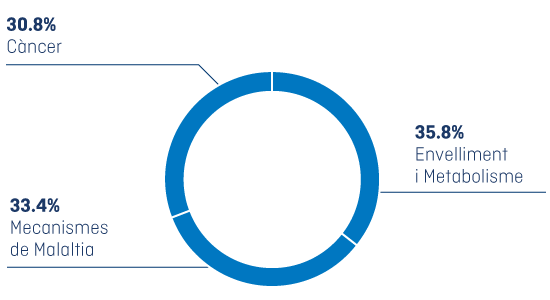 Finançament Extern per àrea de recerca