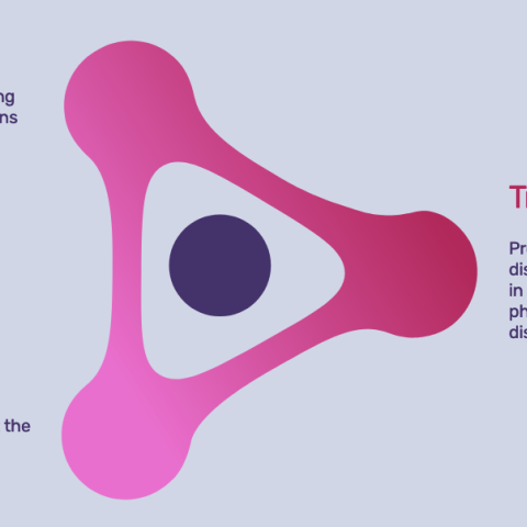 ADAPTMET Trains Metastasis Experts