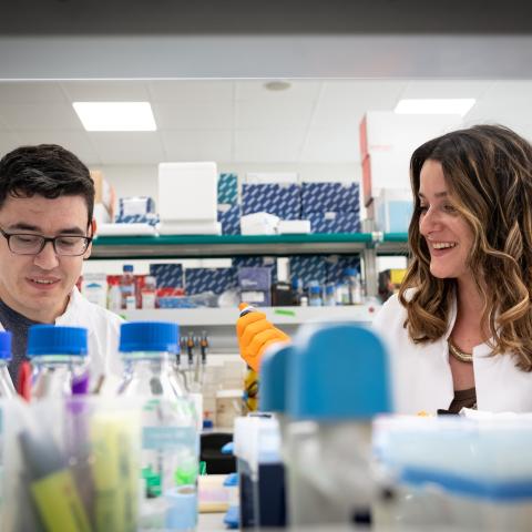 New Labs Advance Cancer & Regeneration