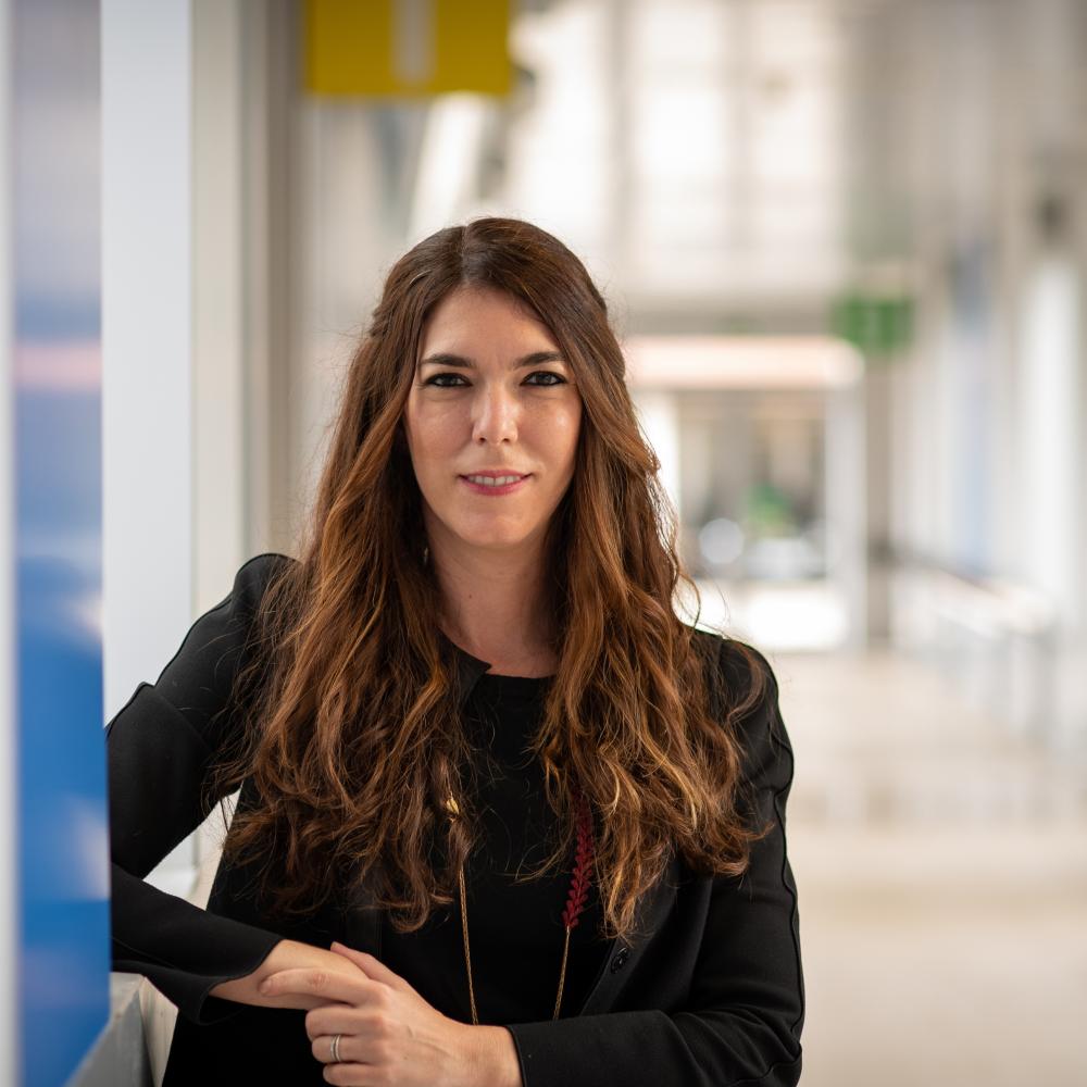 ERC Grant Fuels IGNITE Project