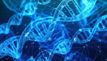 DNA Barcodes