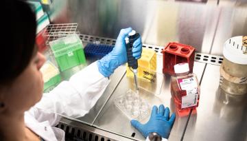 IRB_SET22_LAB_04