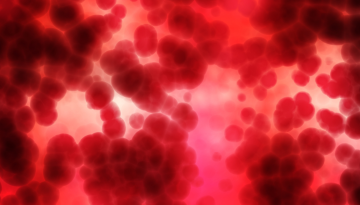 Stem Cell