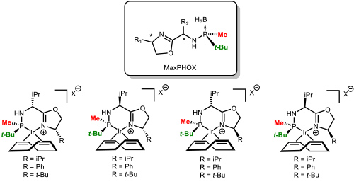 Figure 6. The family of MaxPHOX ligands