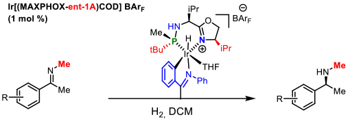 Figure 8. Catalytic asymmetric hydrogenation of N-methyl imines