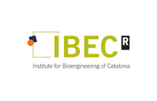 Corporate image - Institute for Bioengineering of Catalonia