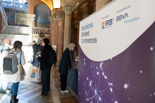 Strategic alliance with the BBVA Foundation | IRB Barcelona