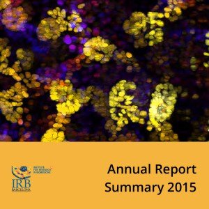 2015 Annual Report