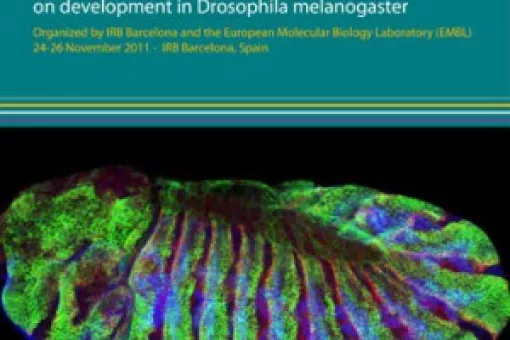 Portada ON THE FLY: A PRACTICAL COURSE FOR TEACHERS ON DEVELOPMENT IN DROSOPHILA MELANOGASTER