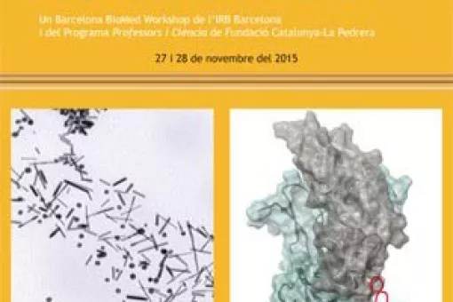 Portada QUÍMICA: L‘ingredient bàsic de la recerca biomèdica