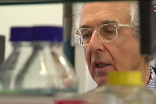 Dr. Joan J. Guinovart