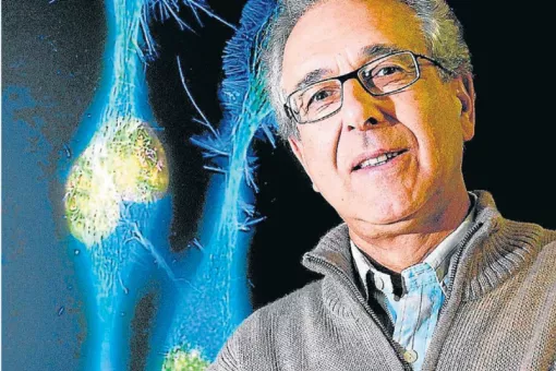 ArcadiNavarro-DiariARA