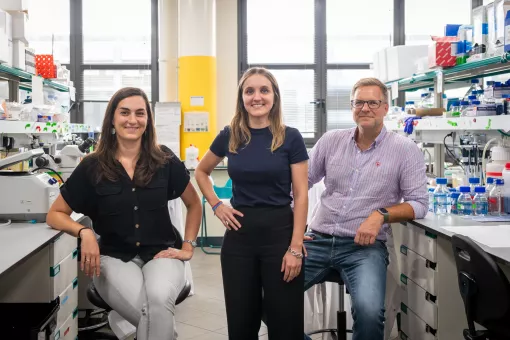  IRBBarcelona_AnnalsOncology_lead2