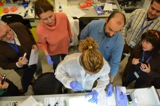 Imagen del último programa "Al vuelo" (2012)