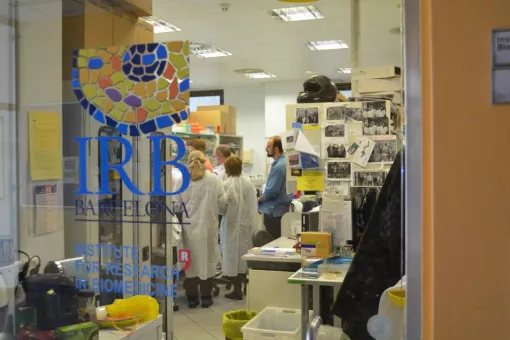 Imágenes del curso del año pasado en "Cáncer, metástasis y medicina personalizada"