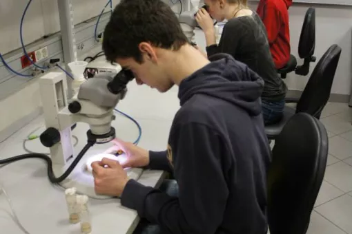 Estudiantes durante una sessión práctica en los laboratorios del IRB Barcelona.