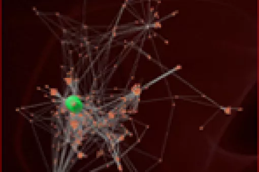 Protein interaction maps of an organism allow researchers to identify the weak points on which to design drugs -or to select drugs already available-, which can be useful against it. Patrick Aloy draws up this kind of map for the AntiPathoGN project.