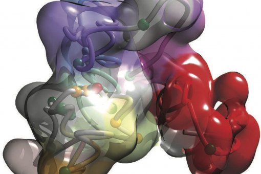 Representación 3D de un fragmento de ADN humano (Imagen: Marc Martí-Renom, CNAG-CRG)