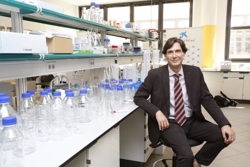 Manuel Serrano, group leader of the Cellular Plasticity and Disease laboratory at IRB Barcelona (Fundació "la Caixa")
