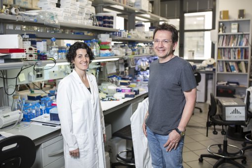 Raúl Méndez and Eulàlia Belloc from the Translational Control of Cell Cycle and Differentiation Lab at IRB Barcelona