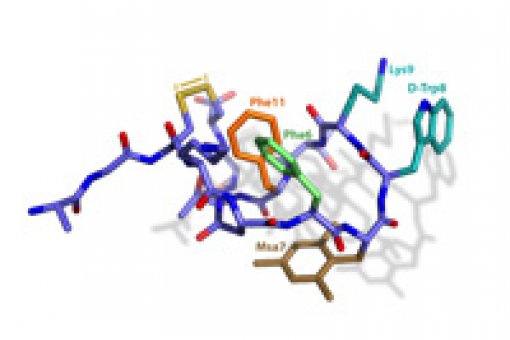 Structure of the somatostatina analogue synthesized in Riera's Lab
