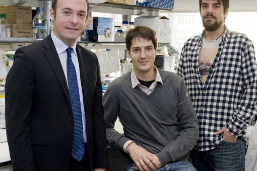 Aleix Prat (IDIBAPS), Roger Gomis (IRB Barcelona) and Juan Miguel Cejalvo (PhD student in the joint programme PhD4MD)