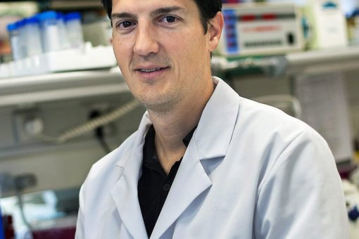 Roger Gomis, jefe del laboratorio de Control de Crecimiento y Metástasis del Cáncer