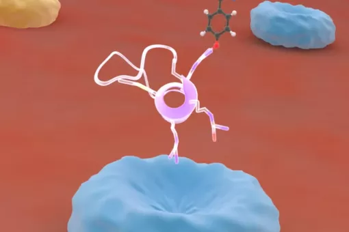 Los péptidos lanzadera son moléculas que tienen la capacidad de transportar fármacos a través de la barrera hematoencefálica y por lo tanto tratar enfermedades que afectan al sistema nervioso central