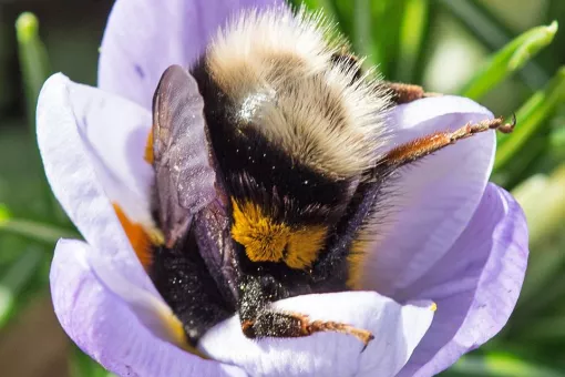 Imagen: PATRICK SEEGER/AFP/Getty Images.