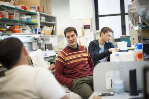Roger Gomis, Cap del Laboratori de Control de Creixement i Metàstasi 