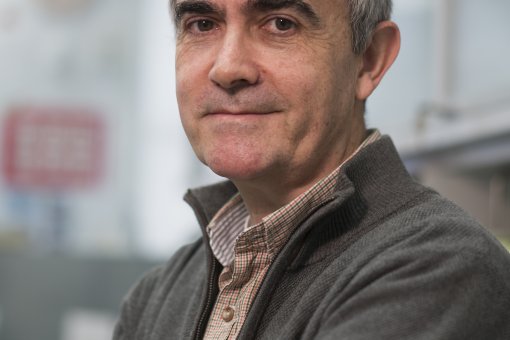 ICREA researcher at IRB Barcelona, Ángel Nebreda