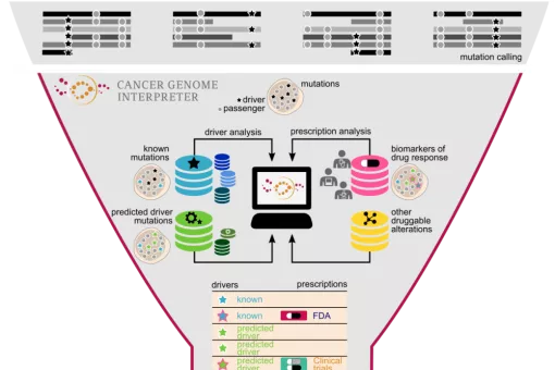 Cancer Geneme Interpreter (CGI). Image: Núria López-Bigas