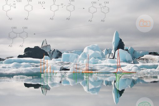 Imagen ilustrativa de cómo el equipo científico ha descifrado la naturaleza covalente de los dímeros de beta-amiloide, un trabajo publicado en Analytical Chemistry. Autora: Marina Gay, IRB Barcelona, y Lorena Markovich