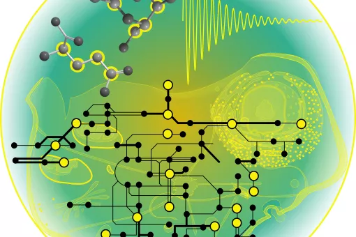 Imagen gráfica que simula los flujos del metabolismo en las células, con los nutrientes marcados con un isótopo estable que permiten estudiar los flujos y las dinámicas de transformación de estos nutrientes.