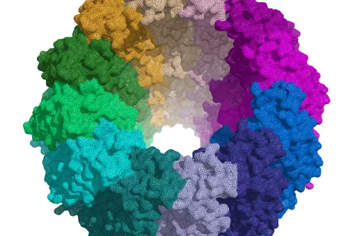 Estructura de la proteína portal del virus de Epstein-Barr. Cristina Machón, IRB Barcelona.