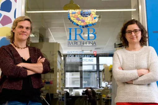  Meritxell Teixidó and Macarena Sánchez at IRB Barcelona. Image: Santi Cogolludo. 