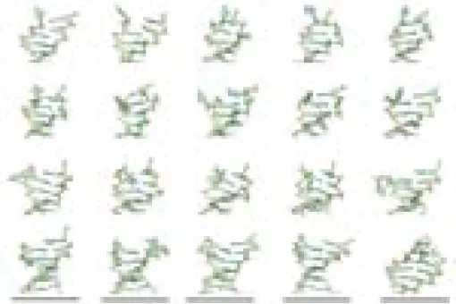 From left to right and up to down, DNA structure movements that permit to get an idea about the mechanism by which DNA starts to unfold. (© A. Pérez)
