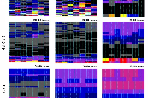 La diversidad es clave: metagenomas de entornos diversos pueden predecir diferentes tipos de funciones genéticas (Gráfico, F Supek, IRB Barcelona)