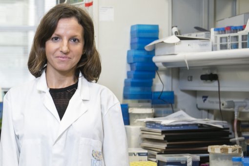 Gloria Pascual, investigadora de l'IRB Barcelona