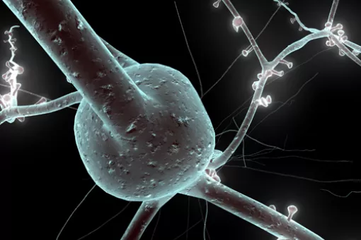 Simulation of a single neuron ©EPFL/Blue Brain Project