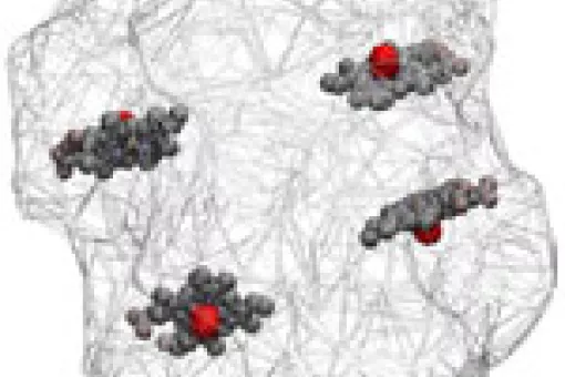 <p>Els 4 grups hemo de l'hemoglobina, responsables de la unió amb l'oxigen. (c) BSC-IRB Barcelona</p>