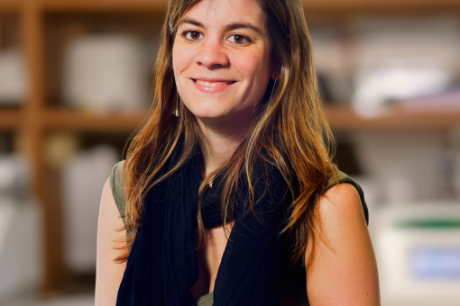 Begoña Cánovas, postdoctoral fellow at IRB Barcelona's Signalling and Cell Cycle Laboratory