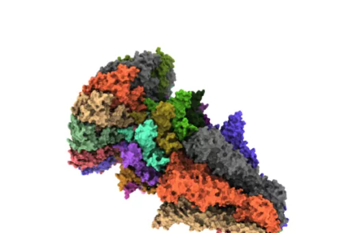 Modelo de superficie mostrando la estructura de la cola del bacteriófago T7. Ana Cuervo, CNB-CSIC.